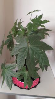 Departamento 610 - 3