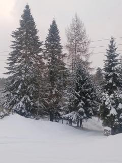 Parádní chalupa - 2