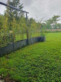 Confort & Sérénité - 2