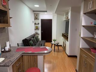 Comfortable apartment in Sopocachi - 2