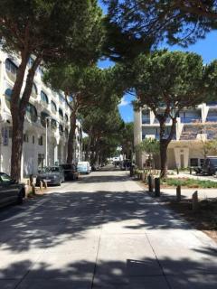 Charmant studio moderne avec parking- plage et centre ville a 5min a pied - 4