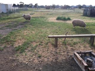 Spirit of Tasmania Stopover 3 secure DIDO sites SC Motor Homes RVs ONLY! BYO Toilet and bed! Private Hobby Horse Farm Rooms extra - 3