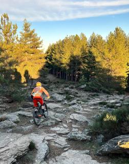 L'Atelier du Peintre - 9