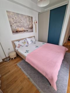 Srna Lux Aerodrom With Rent a Car - 9