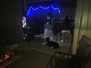 Spirit of Tasmania Stopover 3 secure DIDO sites SC Motor Homes RVs ONLY! BYO Toilet and bed! Private Hobby Horse Farm Rooms extra - 5