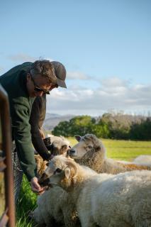 Historic Castle Coach House - 6