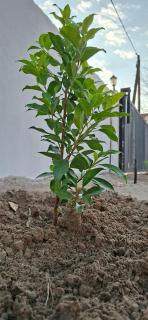 DREAMS INN guest house - 9