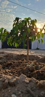 DREAMS INN guest house - 8