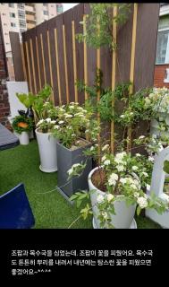 어반 팀버 수원 - 6