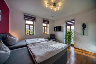 Villa-Harmonie Dresden - 1