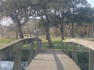 Big Fish 1 - Charming Beach Apartment - 3