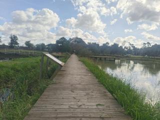 Big Fish 1 - Charming Beach Apartment - 4