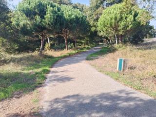 Big Fish 1 - Charming Beach Apartment - 5