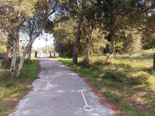 Big Fish 1 - Charming Beach Apartment - 6