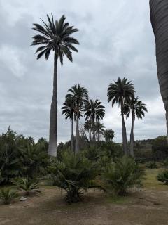 Maravillosa casa a los pies del Cerro la Campana - 3