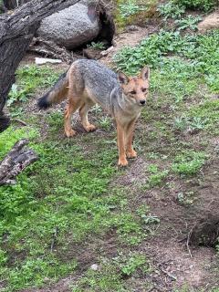Maravillosa casa a los pies del Cerro la Campana - 2