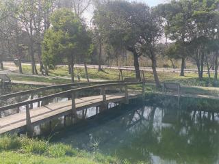 Boho Beach Apartment - 5