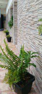 Complejo Apartamentos - 5