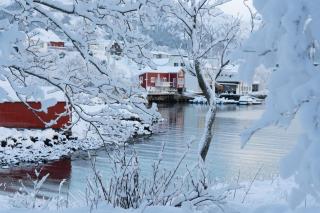 Eget hus i sjøkanten ved fjorden - 7