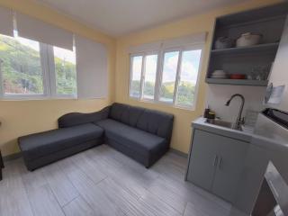 Ackee Green Rentals - 1 Bedroom - 3