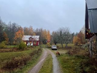 3 bedroom Forest Cabin Retreat in Högsby Småland - 8