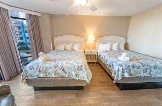 Oceanview Landmark,Beautiful, Pools, Nice Location - Myrtle Beach - 0