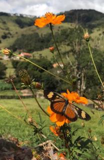 Recanto das Maritacas - 7