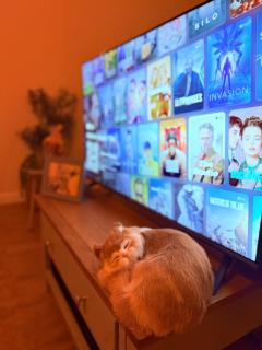 Grand Haven Dudley - 6