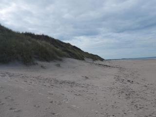 8 person holiday home in Pandrup-By Traum - 7