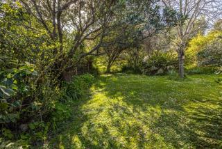 Beresford Bayview by Waiheke Pure - 5