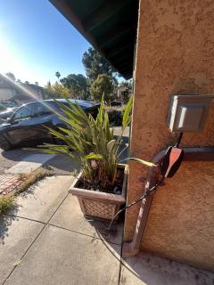 Pet friendly 3BR Spacious Home EV - 5