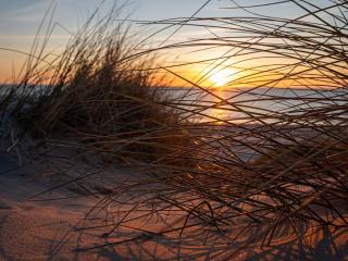 Luxury Beach House in Blokhus - By Traum Ferienwohnungen - 1