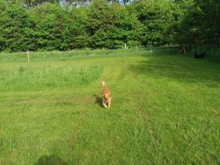 4 person holiday home in Nibe-By Traum - 4