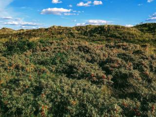 6 person holiday home in Nørre Nebel-By Traum - 2