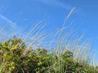 Luxury Retreat in Liseleje - By Traum Ferienwohnungen - 3