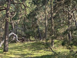 Luxury Retreat in Liseleje - By Traum Ferienwohnungen - 6