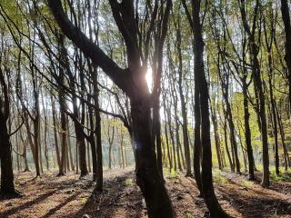 Panoramic Sea View Retreat - By Traum Ferienwohnungen - 6