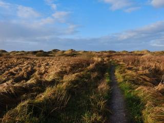 Panoramic Sea View Retreat - By Traum Ferienwohnungen - 5