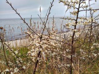 Tranquil Beach Retreat - By Traum - 4