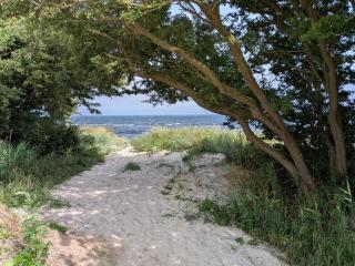 Tranquil Beach Retreat - By Traum - 3