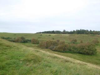 Luxury Beach Retreat - By Traum Ferienwohnungen - Tisvildeleje - 1