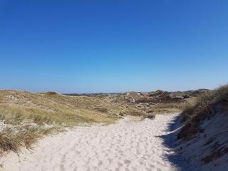 4 person holiday home in Hemmet - 6