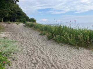 8 person holiday home in Nysted - 7