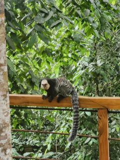 Casa Fonseca, Trancoso - 5