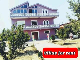 Villas for rent Anna feeling home - 0