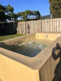 Casa de Campo Ana María - Tupungato - 8