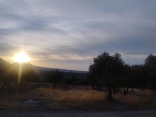 Casa Rural El Olivar - 7