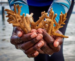 Loloata Island Resort - 6