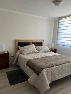 Depto en Pucón 2 piezas 2 baños - 3