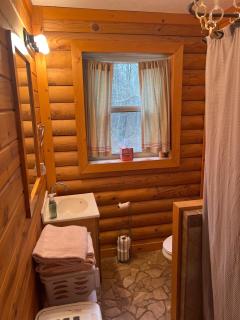 Rustic Cabin Nestled in the Stunning Mark Twain National Forest, Missouri - 1